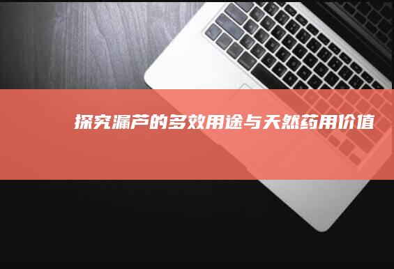 探究漏芦的多效用途与天然药用价值